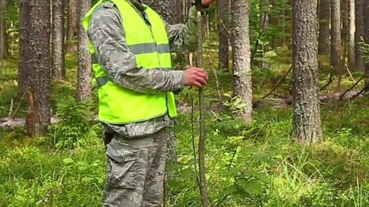 ORMAN, ORMAN ENDÜSTRİ MÜHENDİSLİĞİ VE AĞAÇ İŞLERİ ENDÜSTRİ MÜHENDİSLİĞİ