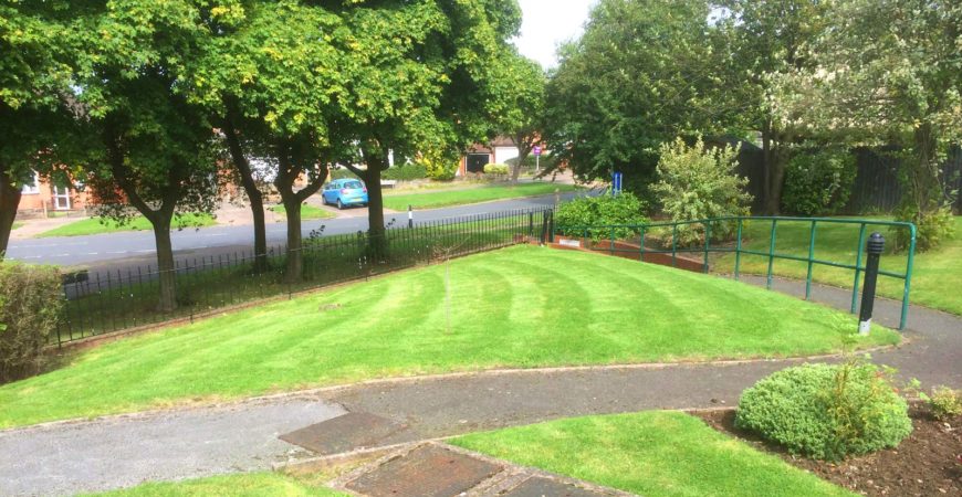 Ağaç Röleve Planı