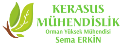 Kerasus Mühendislik - Ormancılık